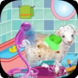 小绵羊农场红包版