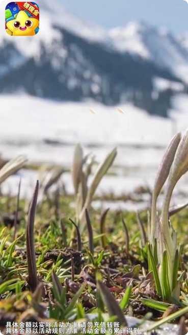 爆破消星星技巧