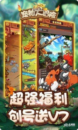 宠物大作战游戏攻略