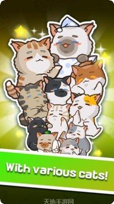 猫主子的日常猫咪装扮